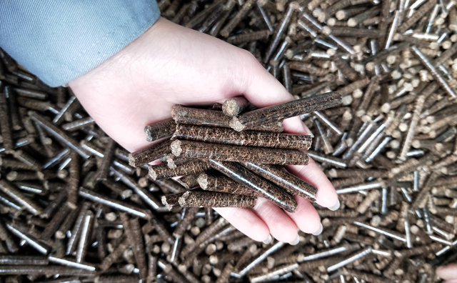 生物質(zhì)顆粒機(jī)加工的成型燃料