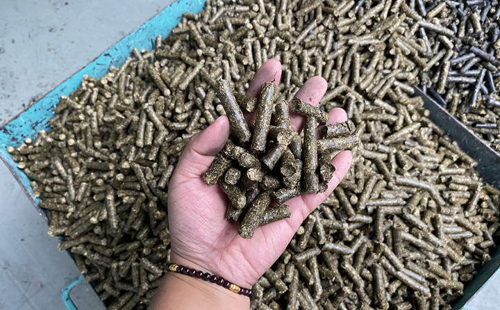 生物質(zhì)顆粒機(jī)的顆粒燃料